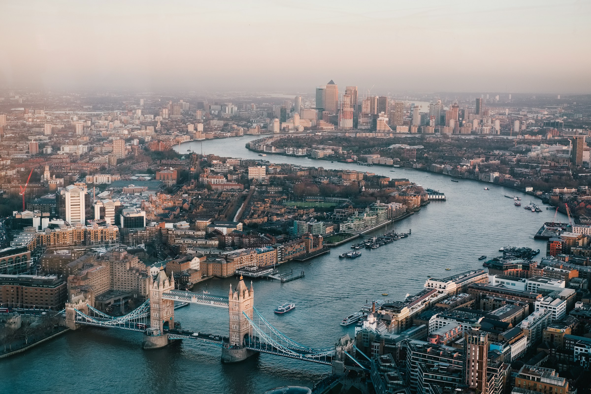 A dog-friendly London street
