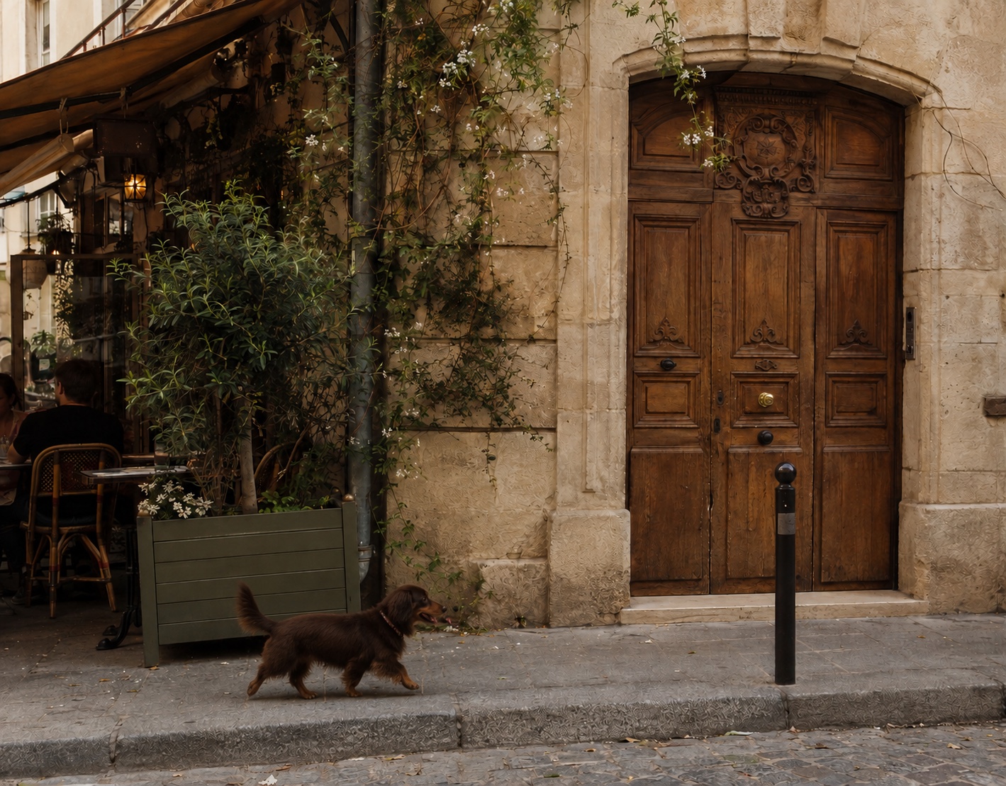 A chocolate dachshund walking past a historic doorway in Le Marais