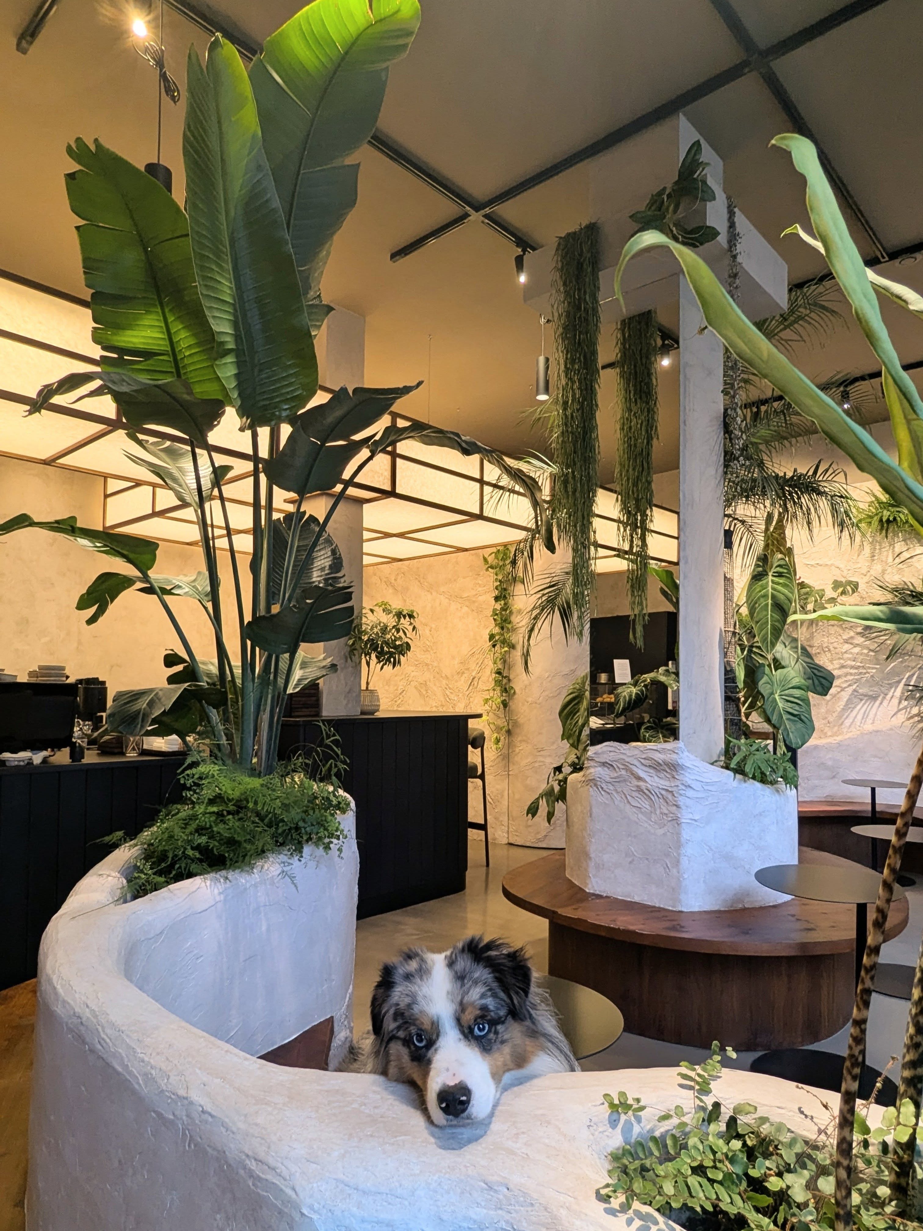 Serge relaxing inside Foret Foret in Paris