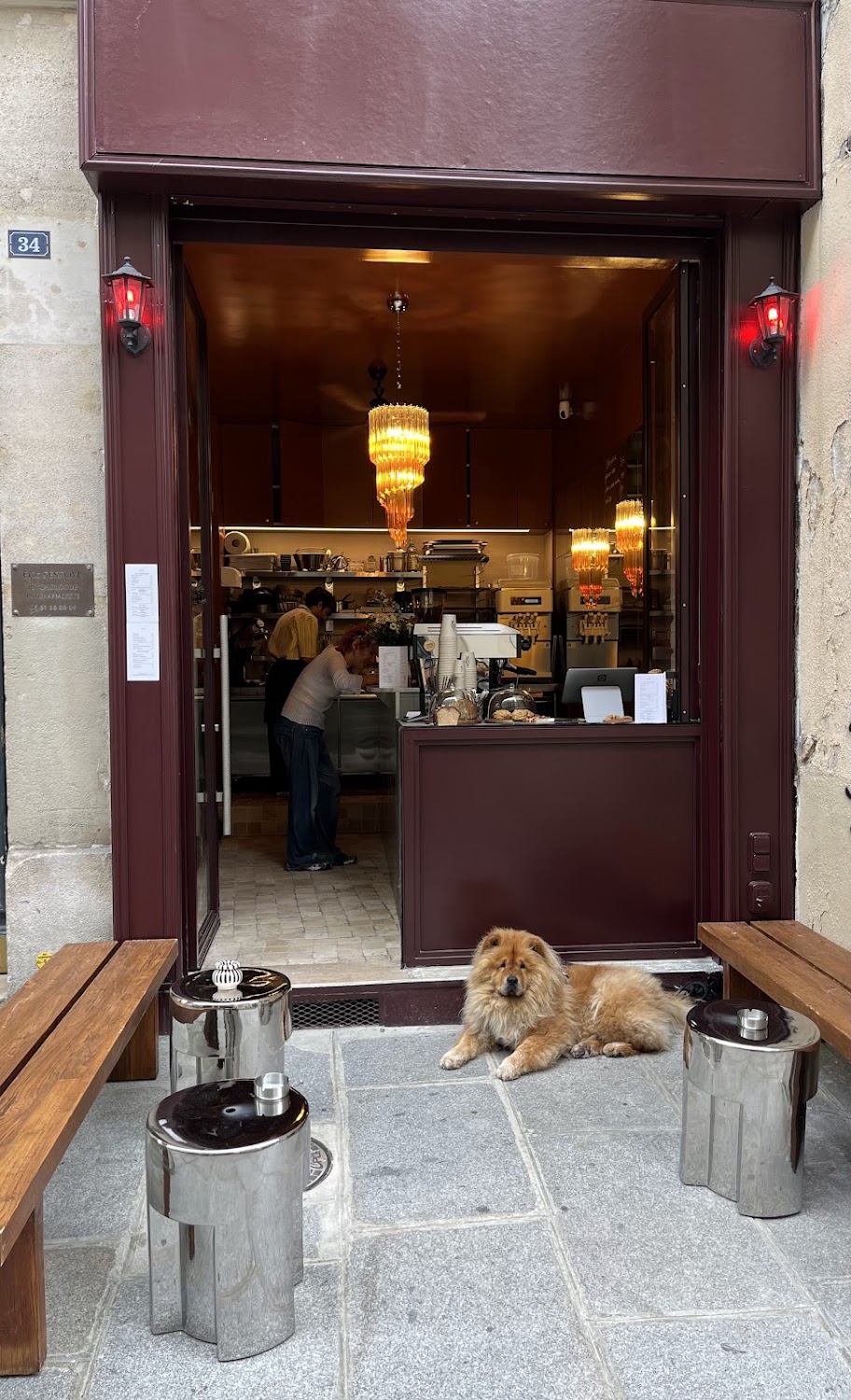 A dog resting at the entrance to Grave Cafe in Paris