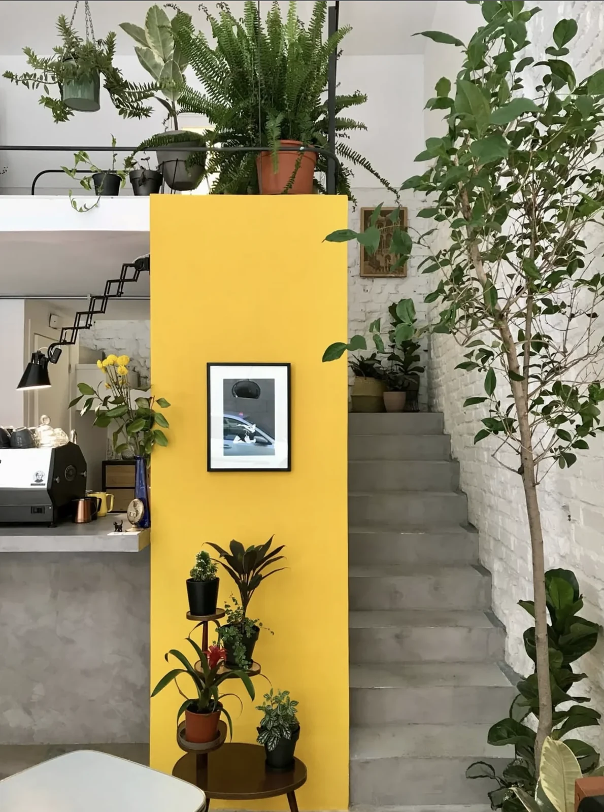 Faraday — Plant-filled café and record shop with a yellow wall